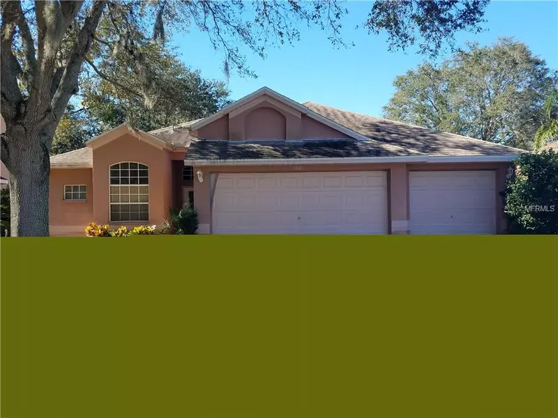 1801 WOOD HAVEN ST, Tarpon Springs, FL 34689