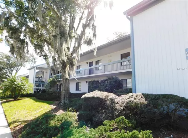 203 MARTHA LN, Oldsmar, FL 34677
