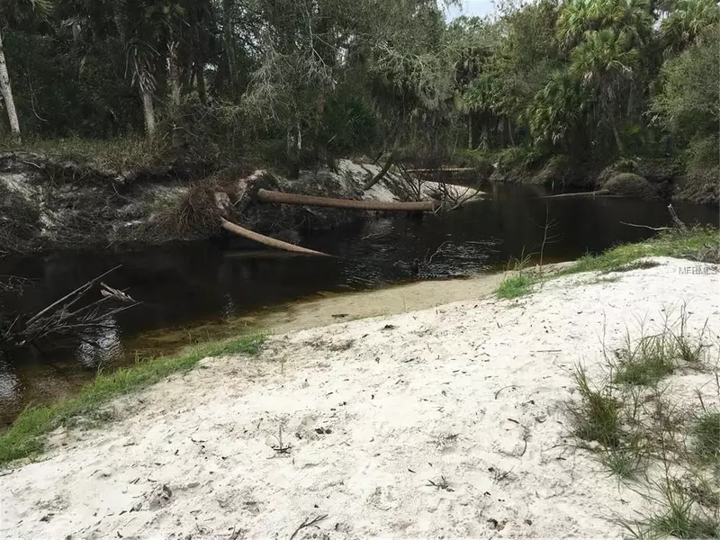 12823 RIVER RD, Myakka City, FL 34251