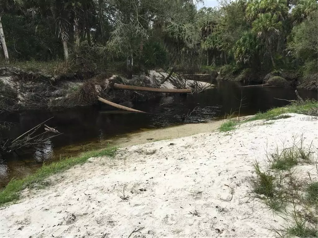 Myakka City, FL 34251,12823 RIVER RD