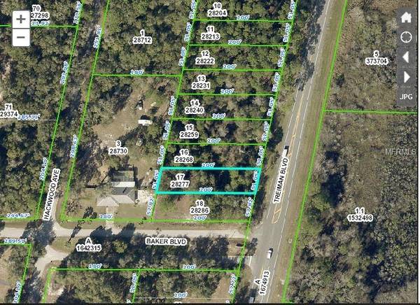 TREIMAN BLVD, Webster, FL 33597