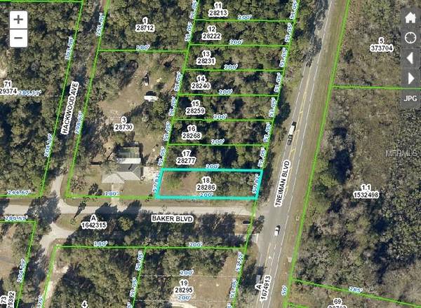 TREIMAN BLVD, Webster, FL 33597