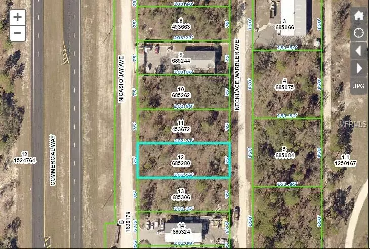 Weeki Wachee, FL 34614,17325 NECKLACE WARBLER AVE