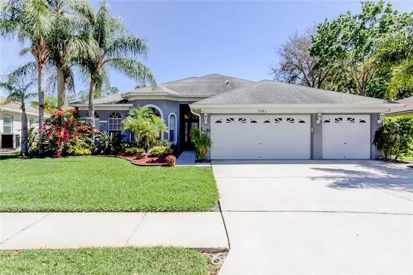 Tarpon Springs, FL 34689,1241 BLACKRUSH DR