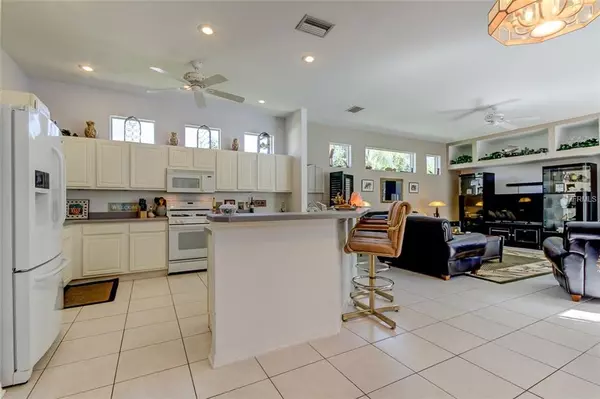 Tarpon Springs, FL 34689,1241 BLACKRUSH DR