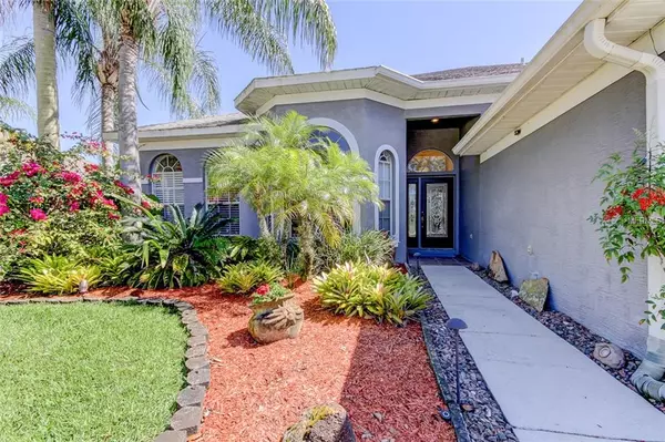 Tarpon Springs, FL 34689,1241 BLACKRUSH DR