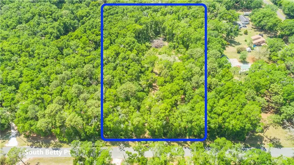 12828 S BETTY PT, Floral City, FL 34436