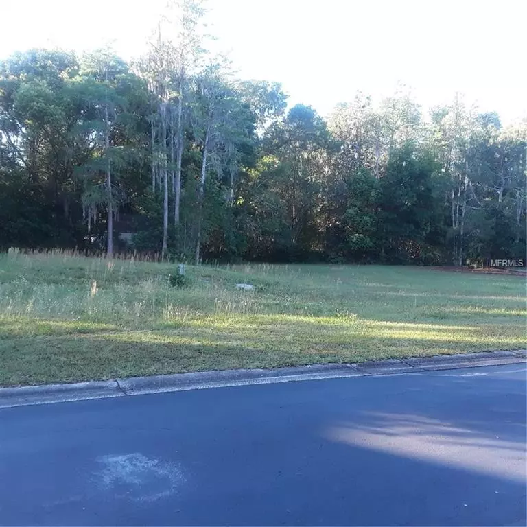 Land O Lakes, FL 34637,00 CHERRY RIDGE PL