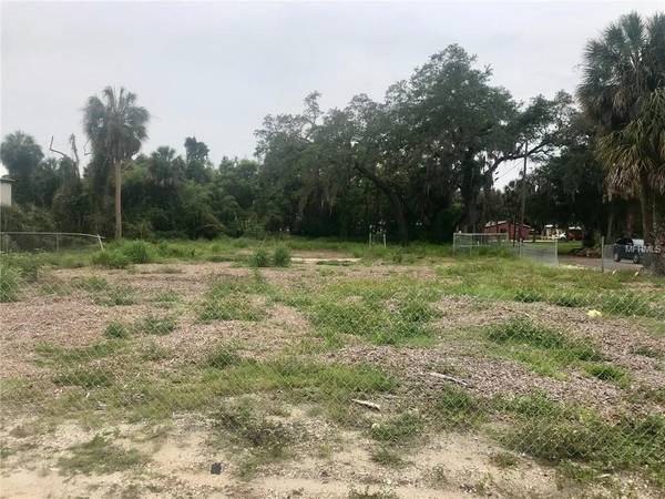 331 N SAFFORD AVE, Tarpon Springs, FL 34689