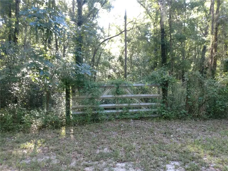 13205 S CRATER TER, Floral City, FL 34436