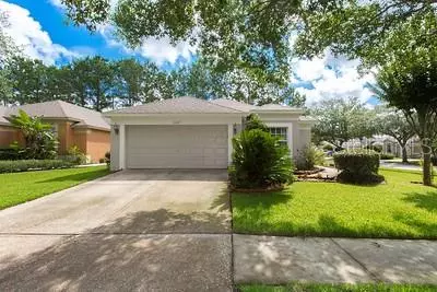 Wesley Chapel, FL 33544,5202 GATO DEL SOL CIR