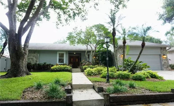 Safety Harbor, FL 34695,19 PINEWOOD CIR