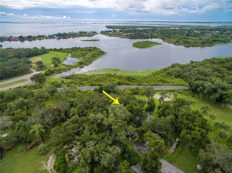 1200 FERN TERRACE DR, Safety Harbor, FL 34695