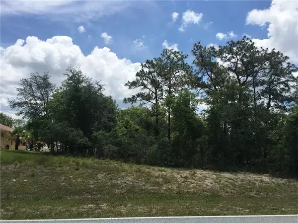 NIGHTWALKER RD, Weeki Wachee, FL 34613