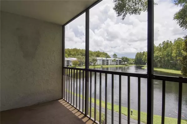 Tarpon Springs, FL 34688,1309 PINE RIDGE CIR E #G2