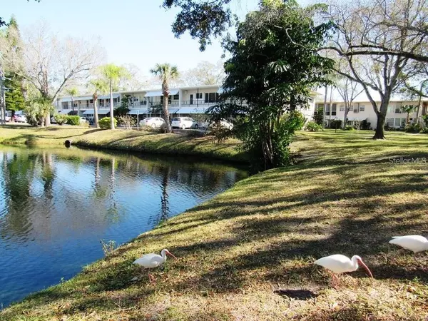 4143 56TH ST N #1003, Kenneth City, FL 33709