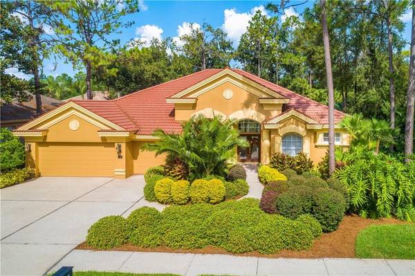 2806 GREY OAKS BLVD, Tarpon Springs, FL 34688