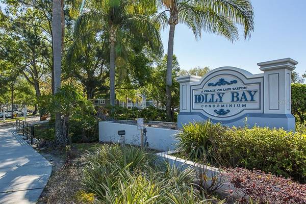 2533 DOLLY BAY DR #303, Palm Harbor, FL 34684