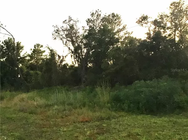 CENTRAL Pkwy, Deland, FL 32724