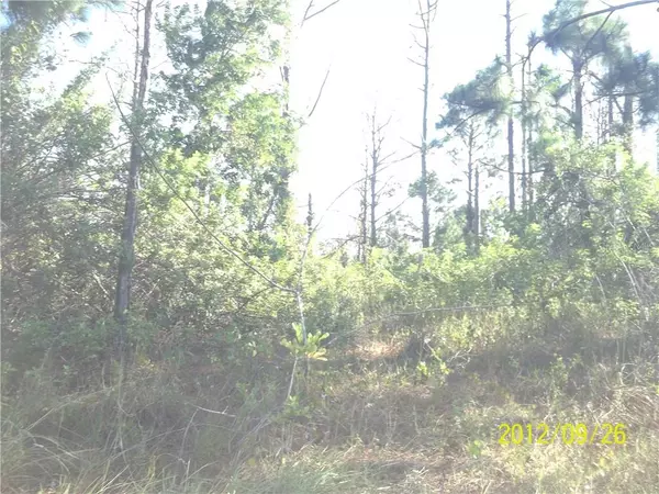 1254 EDMUND ST E, Lehigh Acres, FL 33974