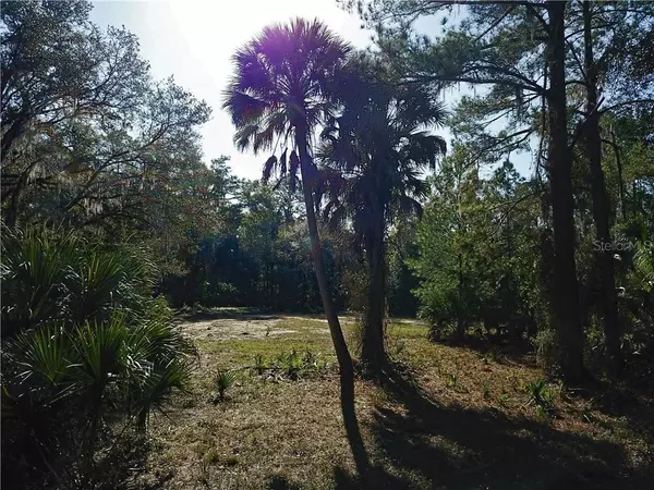 Crystal River, FL 34428,5828 N TALLAHASSEE RD