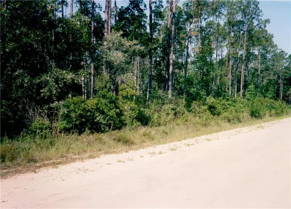 123 DARLENE ST, Interlachen, FL 32148
