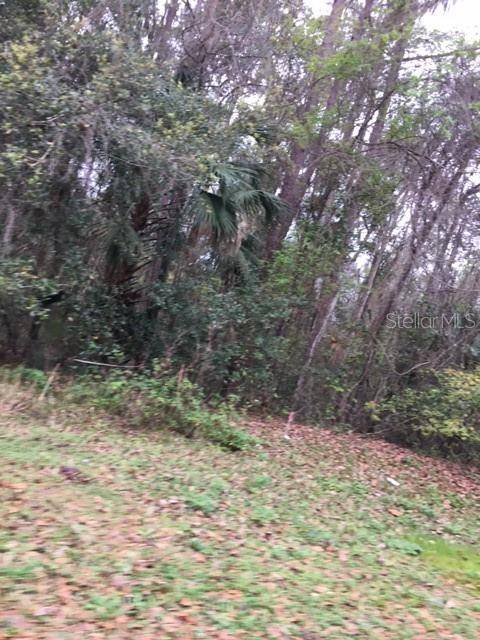 SW 168 LOOP, Ocala, FL 34473