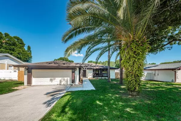 3913 LAKE ST. GEORGE DR, Palm Harbor, FL 34684