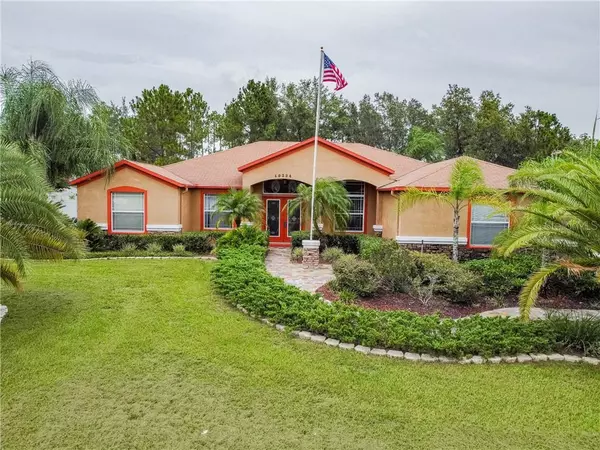 10334 BLOOMFIELD HILLS DR, Seffner, FL 33584