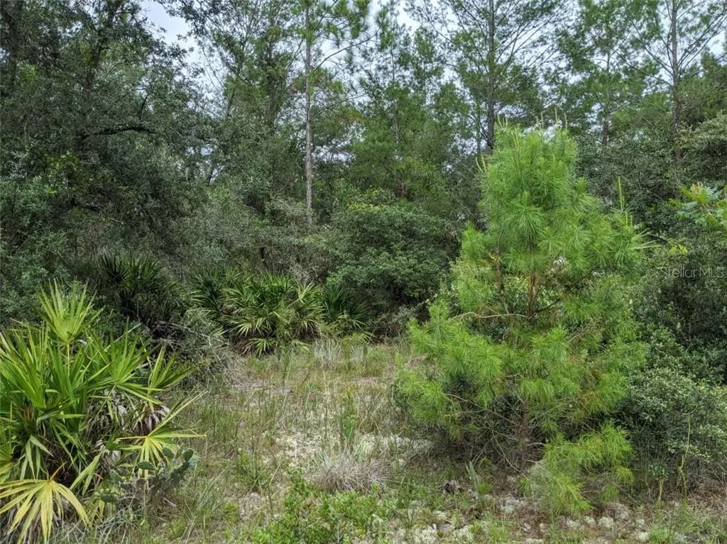 Paisley, FL 32767,VIRGINIA ST