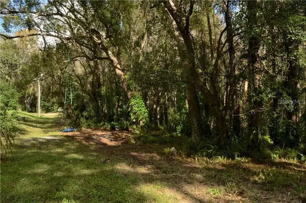 Brooksville, FL 34601,OLIVE ST