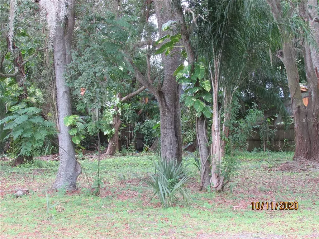 Palm Harbor, FL 34683,360 CRYSTAL BEACH AVE