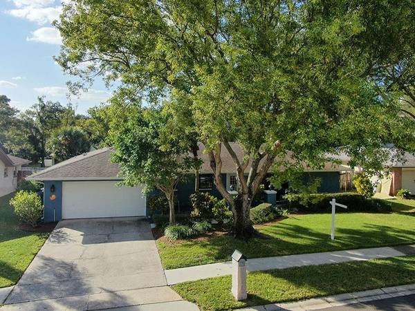 3134 TIMBERVIEW DR, Dunedin, FL 34698