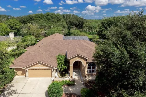 3913 ARLINGTON DR, Palm Harbor, FL 34685