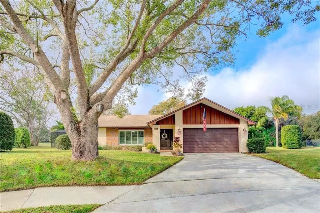 Palm Harbor, FL 34684,1954 CHAUCER CT