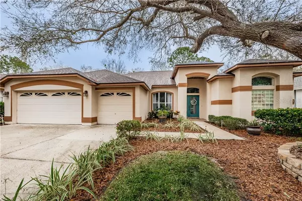 3857 SIENA LN, Palm Harbor, FL 34685