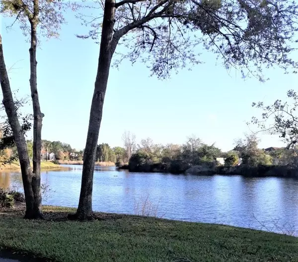 Land O Lakes, FL 34637,21203 CALLE ROSA DR