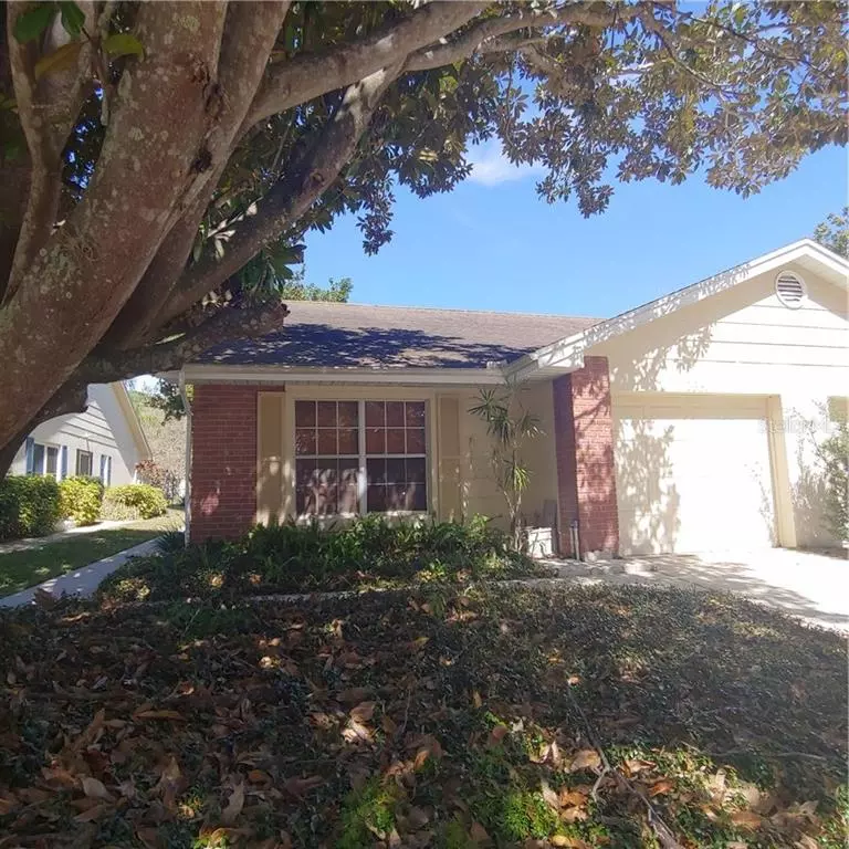 Palm Harbor, FL 34684,2831 WHITEHALL DR