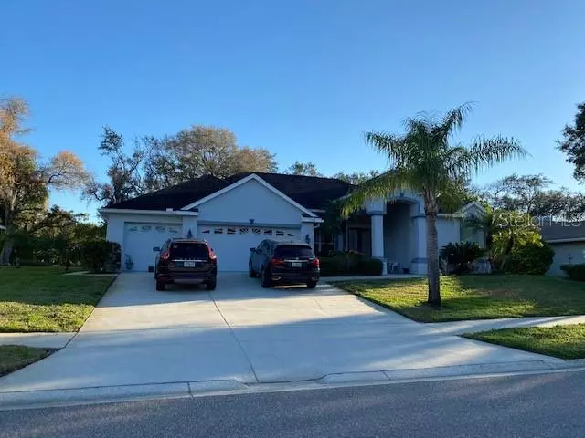 Tarpon Springs, FL 34689,1703 SUNKISSED DR