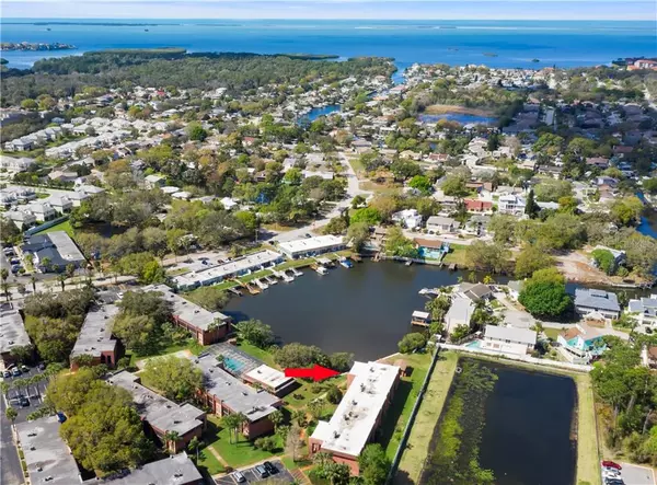 4805 ALT 19 #711, Palm Harbor, FL 34683