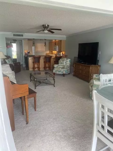 Clearwater, FL 33767,845 S GULFVIEW BLVD #311