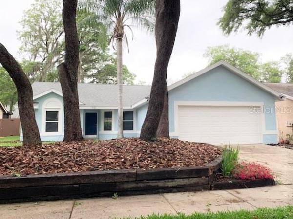 4125 MORELAND DR, Valrico, FL 33596