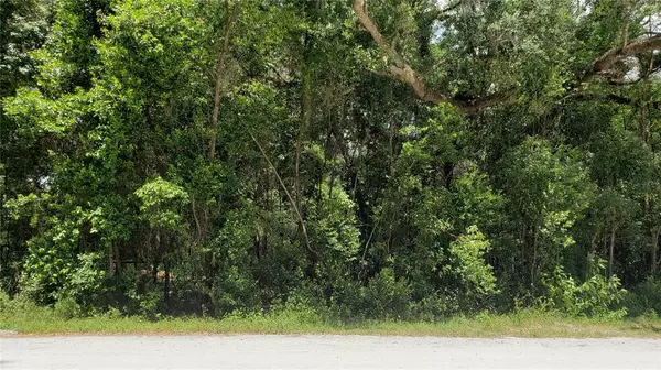 00 MONROE, Brooksville, FL 34604