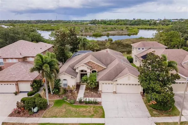 Tarpon Springs, FL 34689,1136 RIVEREDGE DR