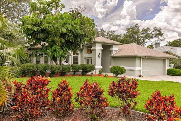 2814 COUNTRY WOODS LN, Palm Harbor, FL 34683