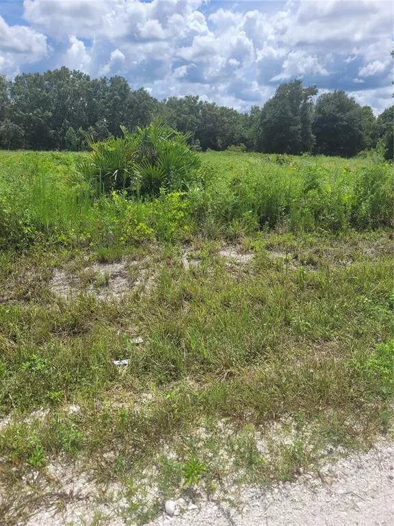 2866 W HAVILAND RD, Avon Park, FL 33825