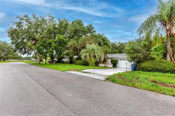 Spring Hill, FL 34608,3344 SAILFISH CT