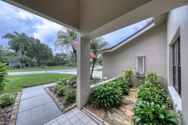 Palm Harbor, FL 34685,5905 WINDERMERE DR