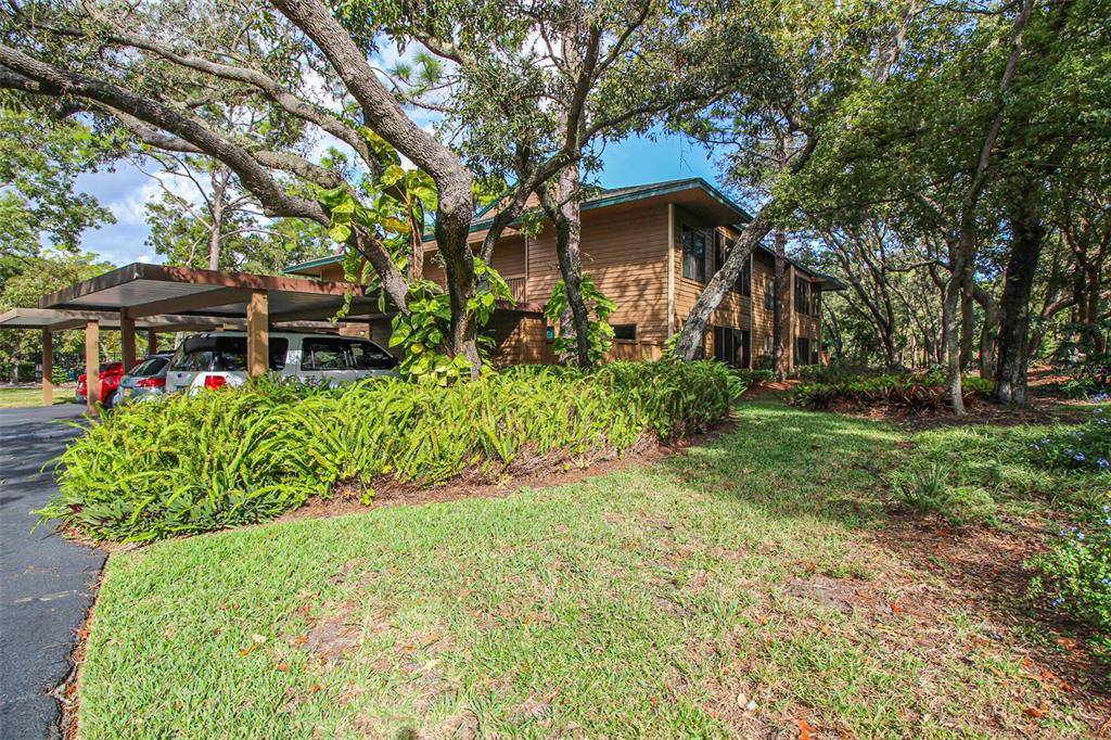 1401 LENNOX RD E #1401, Palm Harbor, FL 34683