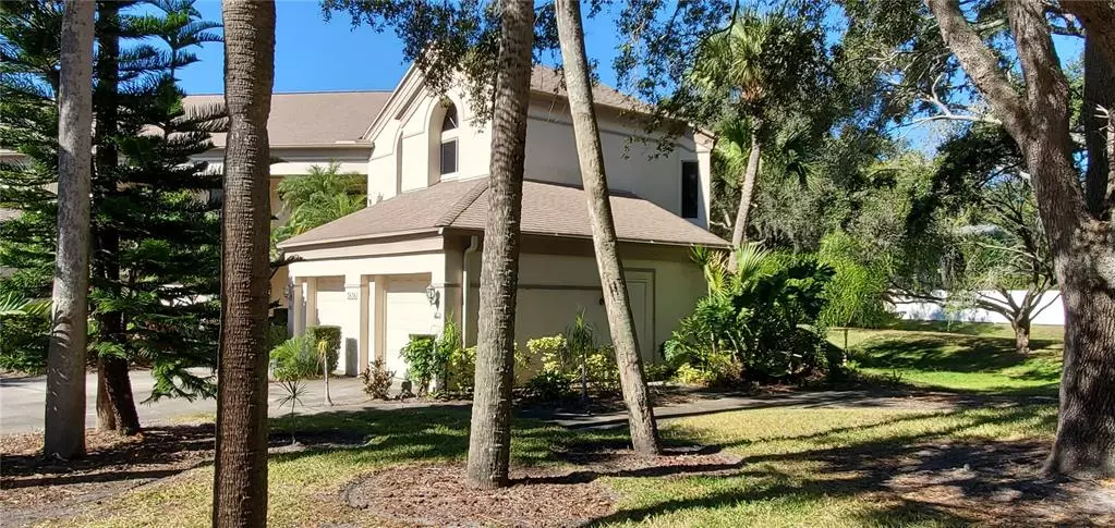 3636 OAK HAVEN DR #203, Palm Harbor, FL 34684